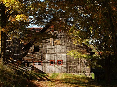 Old Barn, Shadows