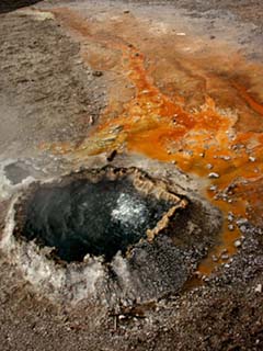 Bubbling Pool, Bacterial Stream