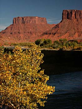 Cliffs, Cottonwoods