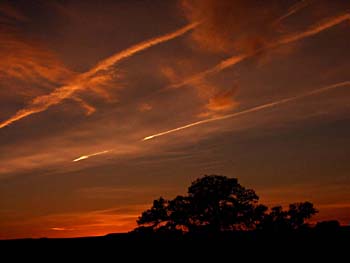 Sunset In Canyonlands