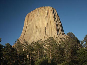 Devil's Tower, Pines