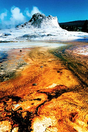 Prehistoric Geyser