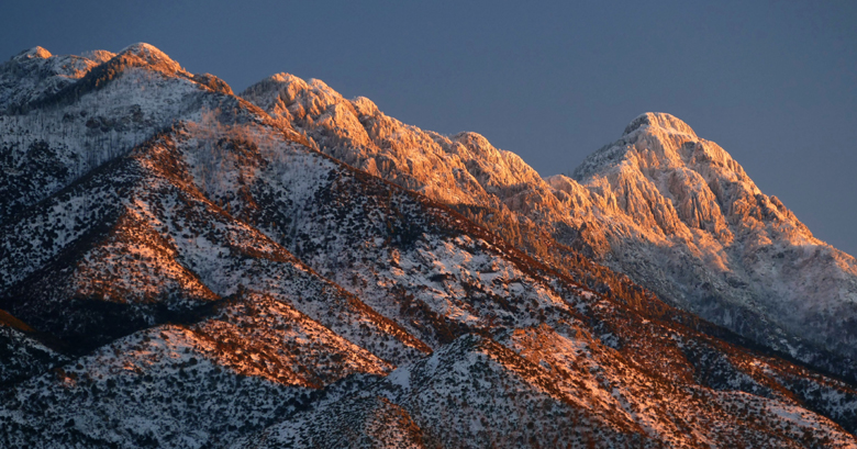 Snowy Arizona