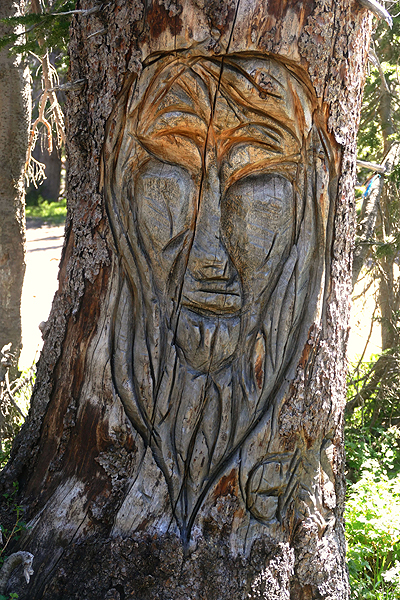 Carved Tree