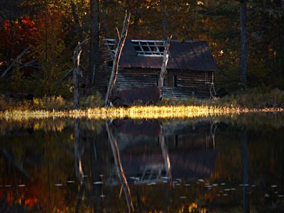 Sugar Shack, Bright Grass