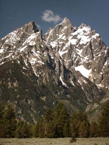 Mount Teewinot From Northeast