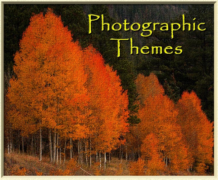 Tom Bishop Photography - Photographic Themes