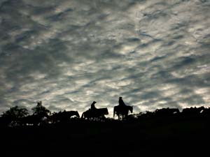 Cowgirls At Sunrise