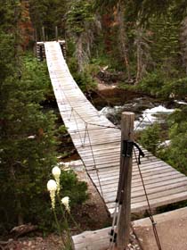 Foot Bridge