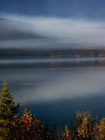 Forest Fire Smoke